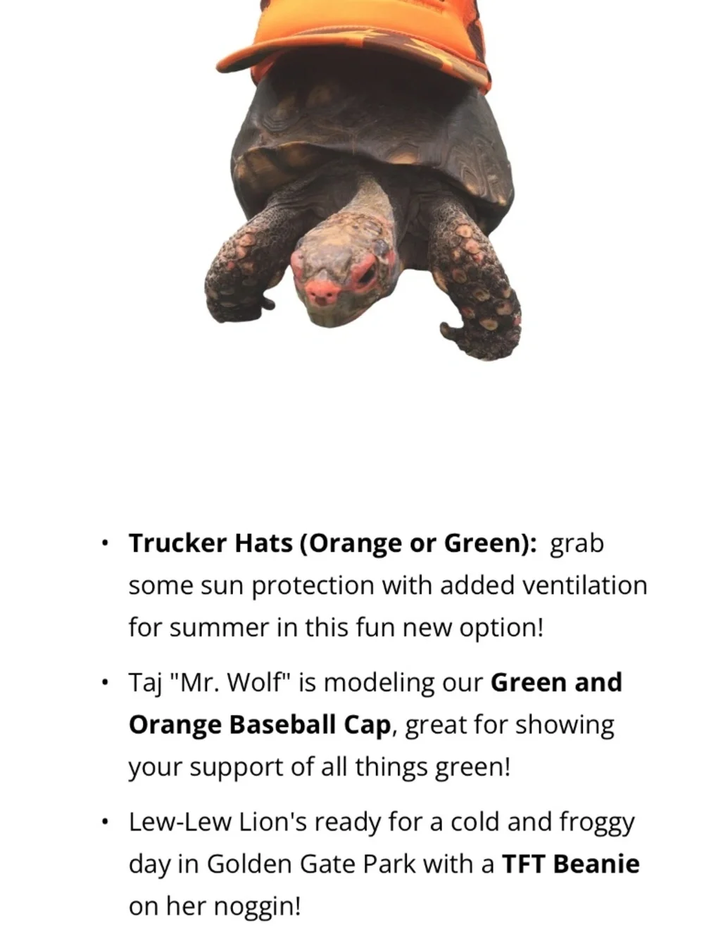 OTTO Camouflage ‘Tree frog Treks’ Trucker hat